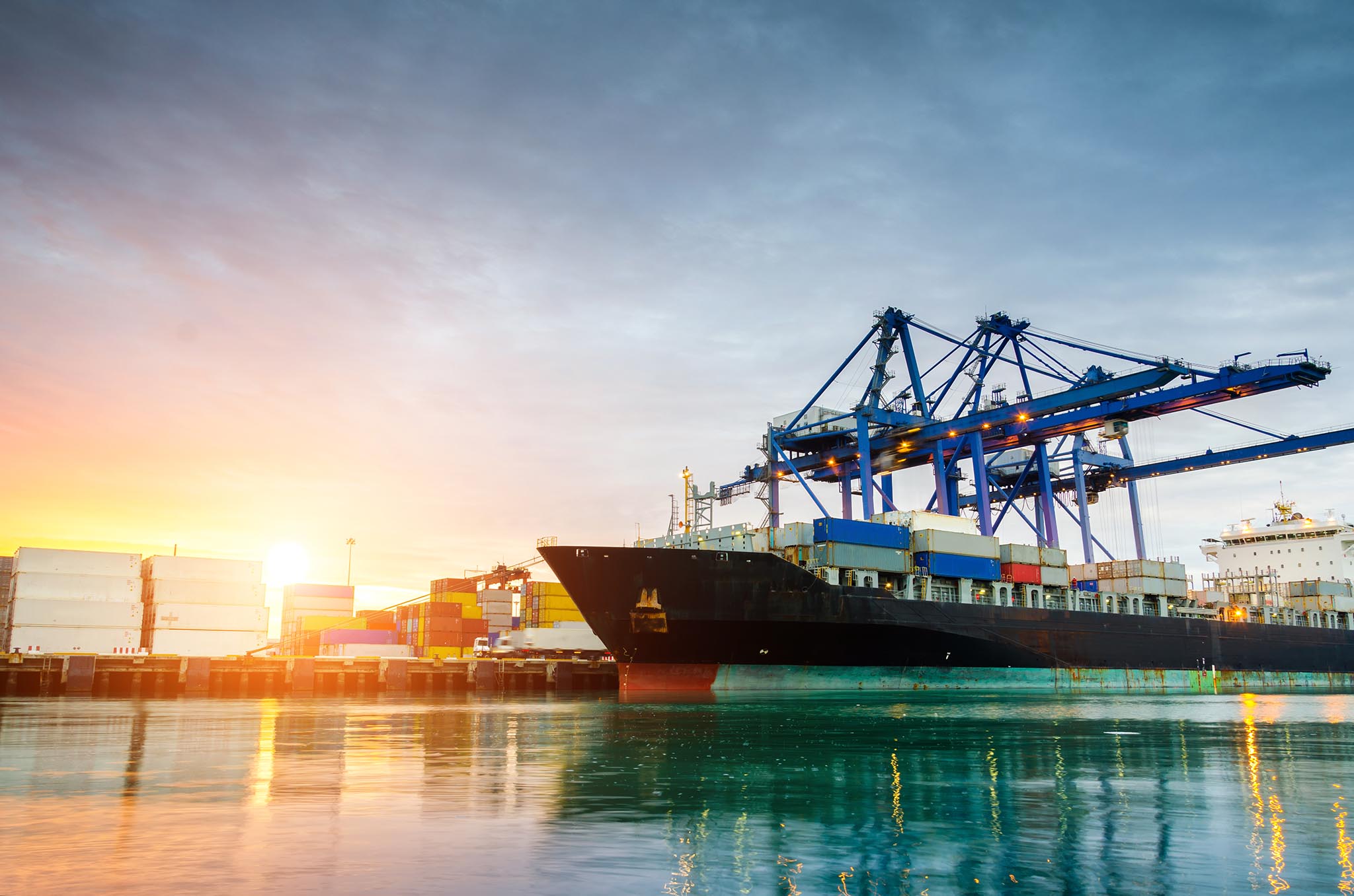 import and export agency in qatar